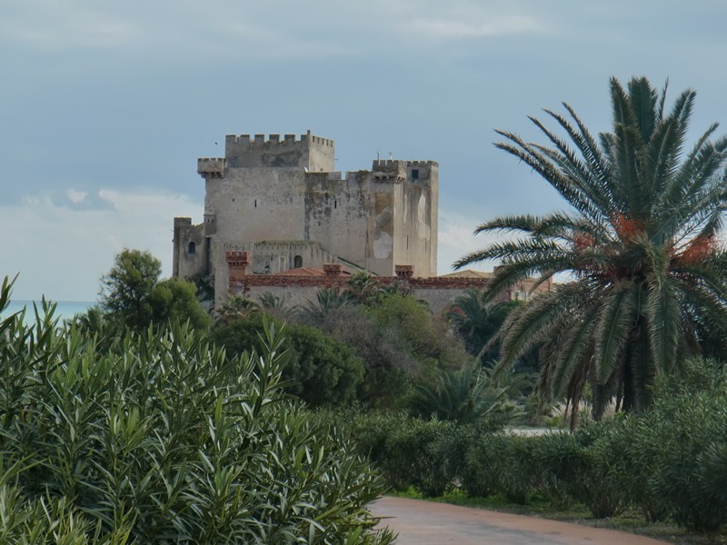 CIMG0346 Castello di Falconara