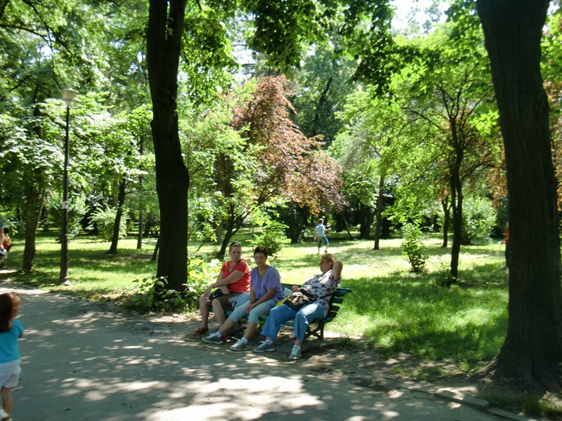 CIMG0970 Bucharest park bench