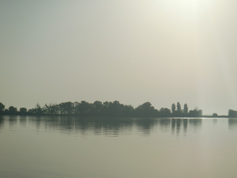 CIMG1204 Danube Delta