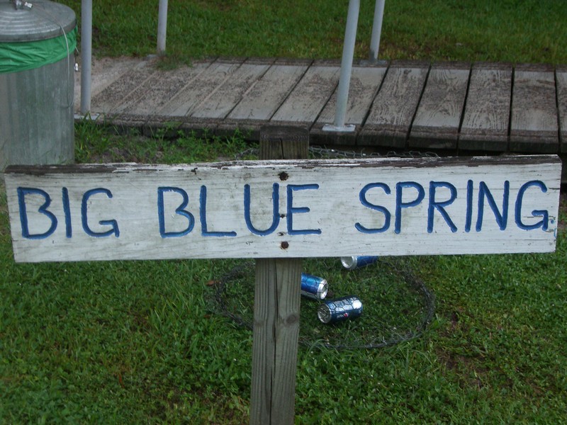 CIMG1767 Blue Spring