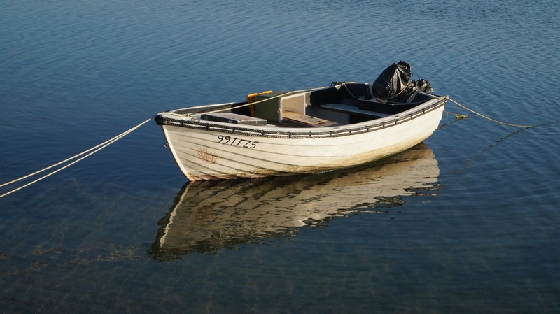 DSC09417 boat in still water