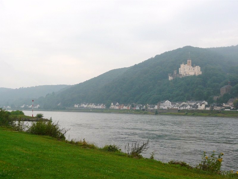 P1160107 Rhine Castle