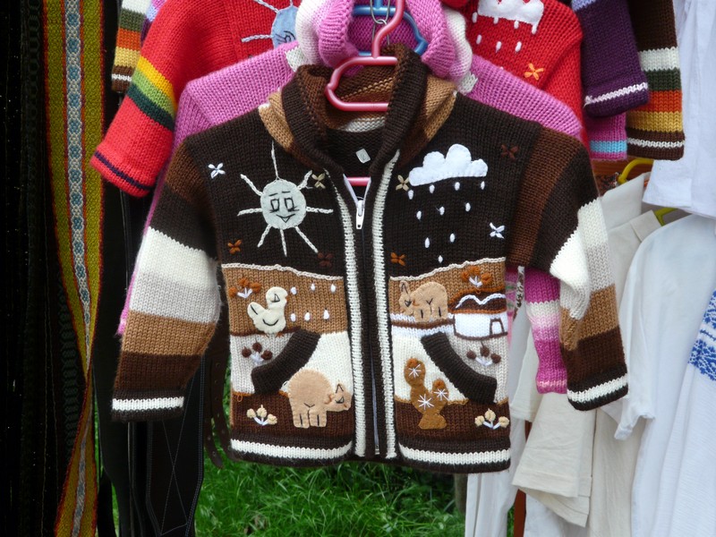 P1200743 Voronet sweater