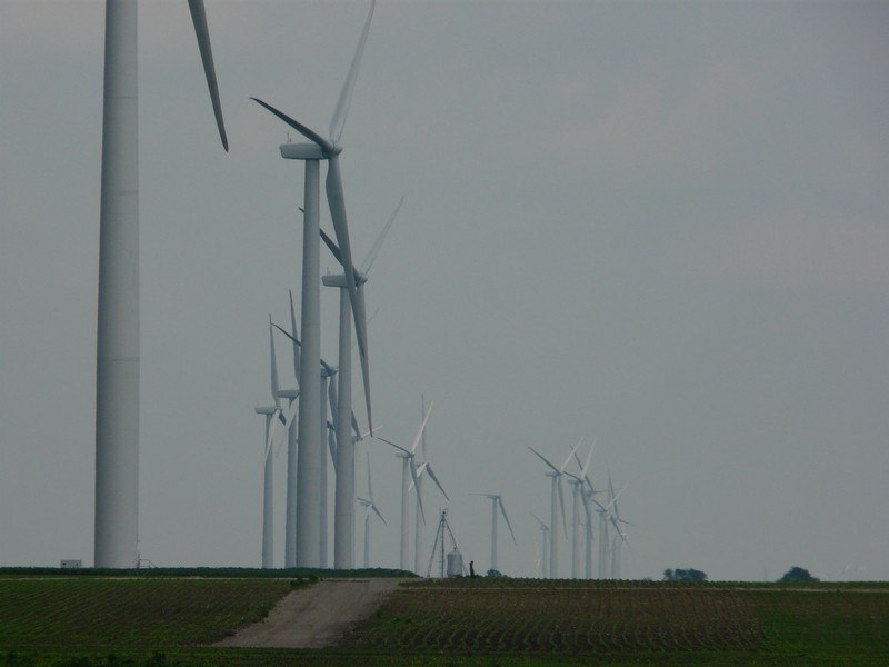 P1270872 Windmills