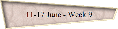 11-17 June - Week 9