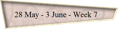 28 May - 3 June - Week 7   
